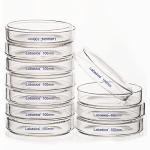 10-Pack Glass Petri Dishes with Clear Lid