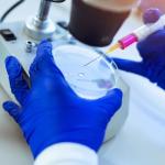 20 Pack of 70mm Plastic Petri Dishes