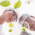 Plastic Petri Dishes with Lids - Pack of 10