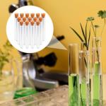 Clear Plastic Test Tubes with Lids – 15 PCS