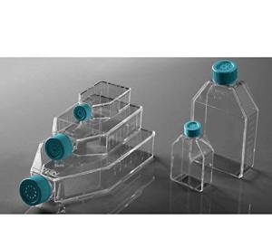 50ml Sterilized Cell Culture Flasks with Vented Caps