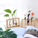 Clear Plastic Test Tubes with Cork Stoppers - 20pcs