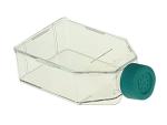 Nest Scientific Polystyrene Cell Culture Flask, 25 cm²