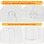 30ml Clear Glass Test Tubes with Screw Caps - 6PCS