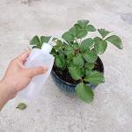 Plastic Safety Squeeze Bottle Set, 500 mL