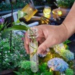 6PCS Clear Plastic Test Tubes with Screw Caps