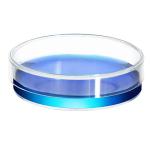 Sterile Plastic Petri Dishes, 20 Pack, 150mm