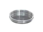 20 Sterilized 100mm Petri Dishes - 20 Pack