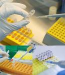 50pcs 10ml Clear Centrifuge Tubes with Caps