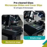 50 Pack Blank Glass Microscope Slides - Ultra Clear