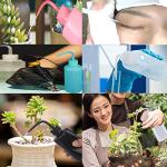 Pinkish Plastic Safety Wash Bottles - 2 Pack