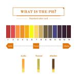 pH Test Strips for Saliva, Urine, Water, Soil