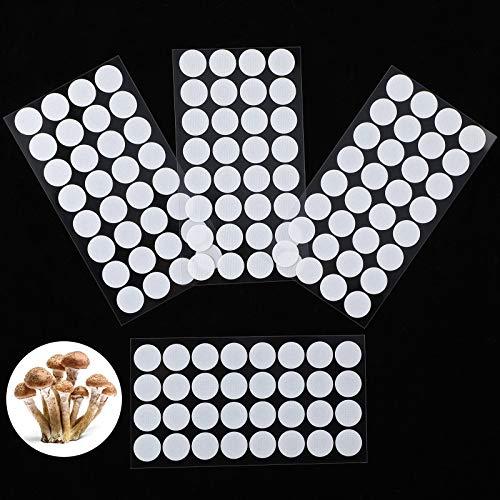 Zonon 128-Piece Synthetic Filter Paper Stickers