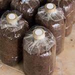 Zonon 128-Piece Synthetic Filter Paper Stickers