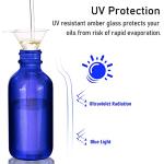 2 oz Blue Glass Dropper Bottle 2-Pack