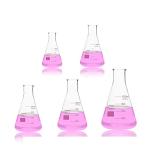 Labvida Narrow Mouth Glass Erlenmeyer Flask Set