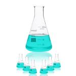 50ML Glass Erlenmeyer Flask Set - 6pcs