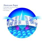 Silica Gel Packets - 100g Moisture Absorbers (6 Pack)