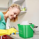 Roshtia 6-Pack 3 Quart Green Cleaning Buckets