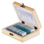 AmScope 25 Prepared Microscope Slides with Wooden Case