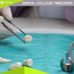 Cynamed Stainless Steel Dental Tweezer Tools