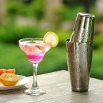 Pro Stainless Steel Cocktail Shaker Set