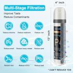 Under Sink Water Filter System with Stainless Steel Faucet
