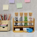 Test Tubes with Cork Stoppers - 4 Pack