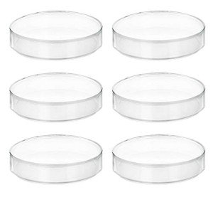 EISCO 6-Pack Reusable Polypropylene Petri Dishes