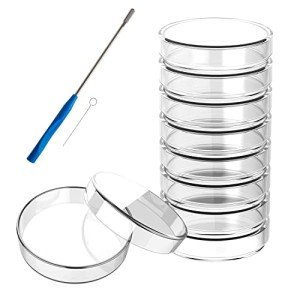 60mm Glass Petri Dishes with Lids - 10 Pack