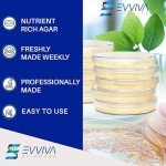 Nutrient Agar Petri Dishes Kit with eBook