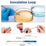 60mm Glass Petri Dishes with Lids - 10 Pack