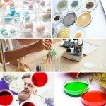 60mm Glass Petri Dishes with Lids - 10 Pack