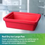 Genesee Scientific Large Leak-Proof Ice Cube Container