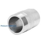 High-Pressure Hydrothermal Synthesis Autoclave Reactor 25ML