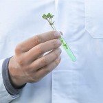 50pcs Clear Test Tubes with Rack and Lids