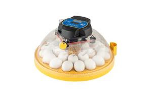 Brinsea Maxi 24 Egg Incubator with Automatic Turning