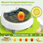 Automatic Egg Incubator with Humidity Control, 18 Eggs