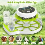 Automatic Egg Incubator with Humidity Control, 18 Eggs