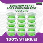 Zombie Mushroom Agar Plates - 15 Sterile Copette