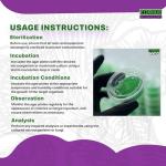 Zombie Mushroom Agar Plates - 15 Sterile Copette