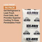 ICE-BRIX IB3BPD 85g Cold Pack, White (96 Pack)
