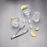 Stainless Steel Ice Bucket with Tongs Set