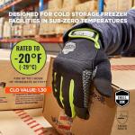 Ergodyne ProFlex 850 Insulated Freezer Gloves