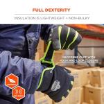 Ergodyne ProFlex 850 Insulated Freezer Gloves