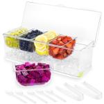 Ice Chilled Condiment Server with Removable Compartments