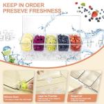 Ice Chilled Condiment Server with Removable Compartments