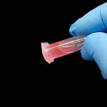 500 Sterilized 1.5ml Microcentrifuge Tubes with Caps