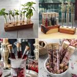 30pcs 25ml Clear Glass Test Tubes with Corks