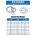 300-Pcs Stainless Steel Internal Tooth Lock Washers Set